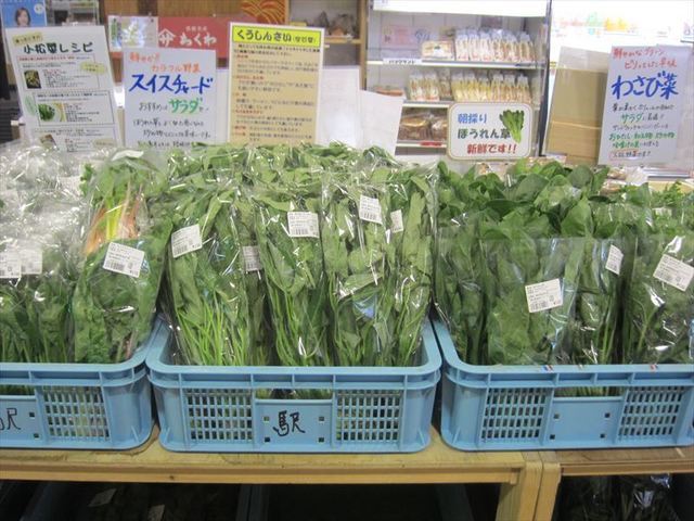 季節のお野菜