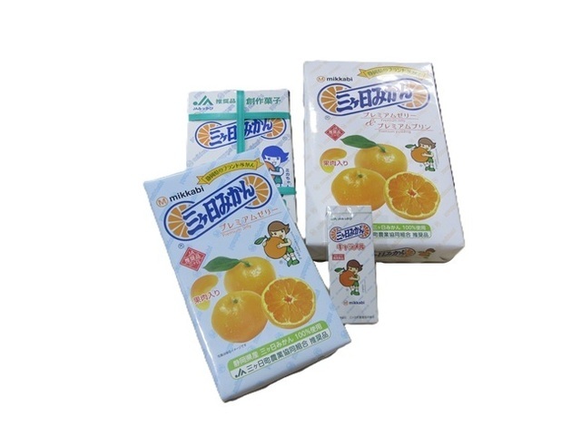 三ヶ日みかん商品